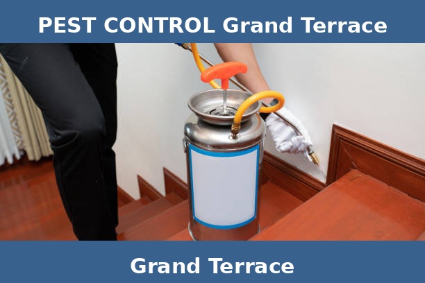 PEST CONTROL Grand Terrace